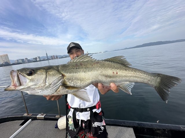 シーバス(スズキ)