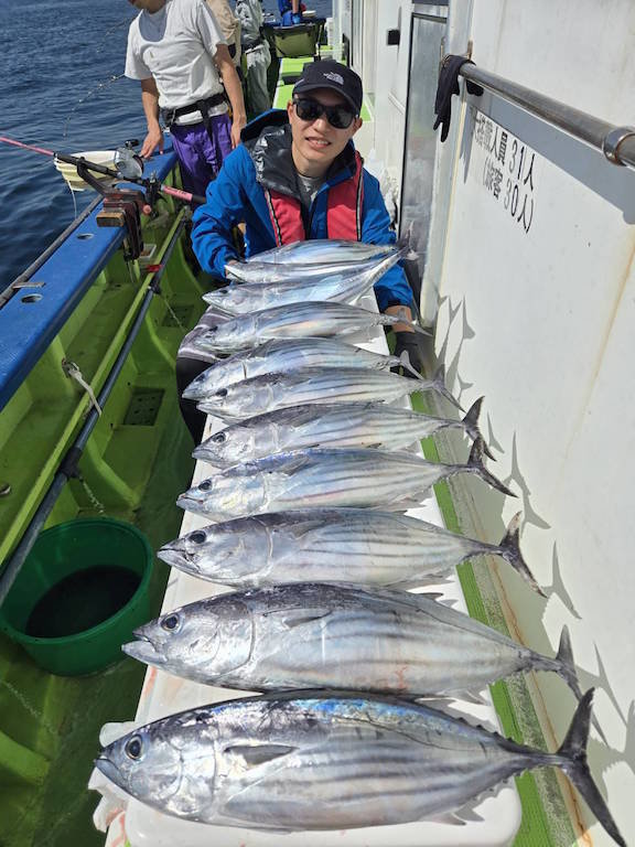 キメジ(キハダ)・カツオ