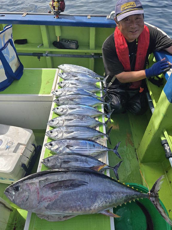 キハダ・キメジ(キハダ)