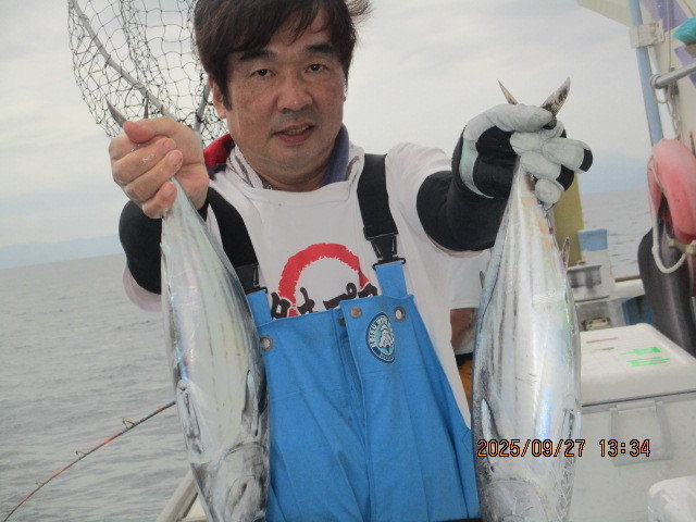 ホンガツオ(カツオ)