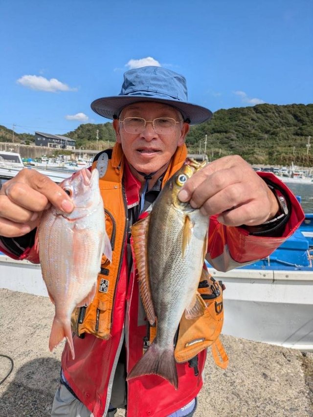 ハナダイ(チダイ)・イサキ