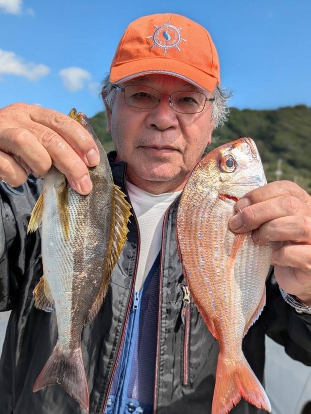 ハナダイ(チダイ)・イサキ