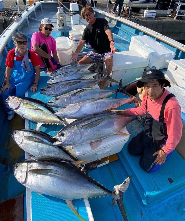 マグロ(キハダ)