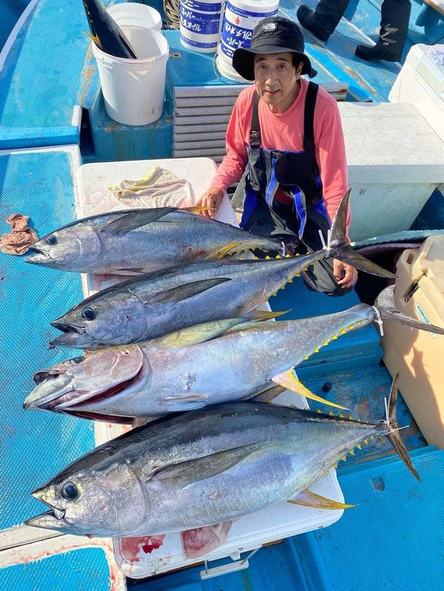 マグロ(キハダ)