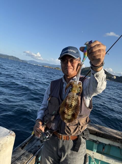 アオリ(アオリイカ)