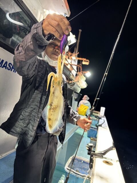 アオリ(アオリイカ)