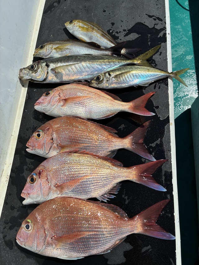 マダイ・チダイ