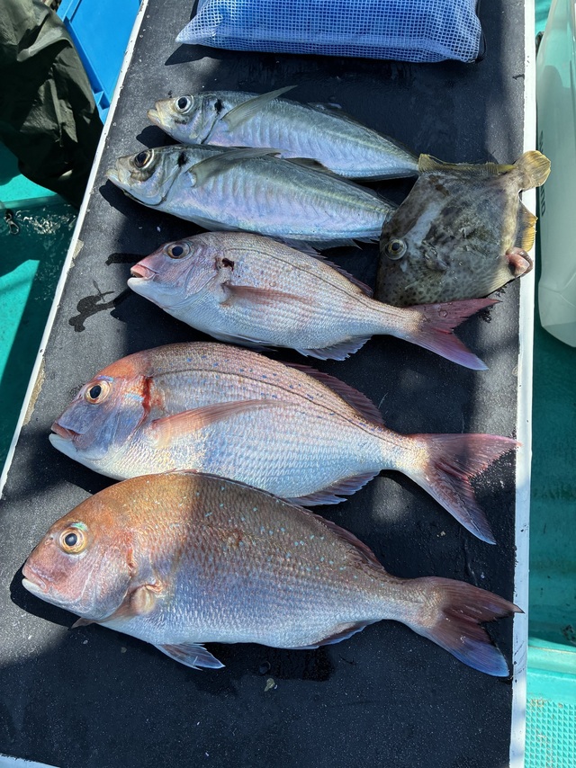 マダイ・チダイ