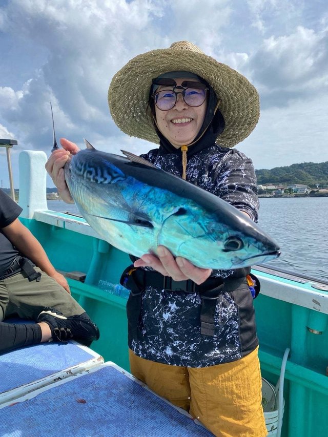 スマガツオ(スマ)