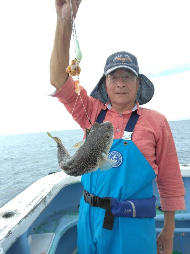 ショウサイフグ