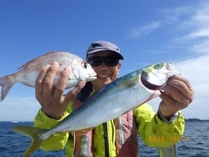 タイ(マダイ)・ハマチ(ブリ)