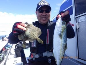 ハマチ(ブリ)・カワハギ