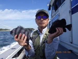 サンバソー(イシダイ)・イシガキダイ