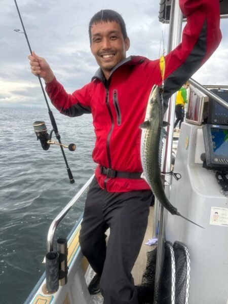 サゴシ(サワラ)