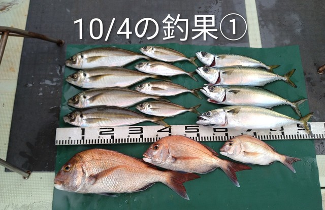 マダイ・マアジ・サバ(マサバ)