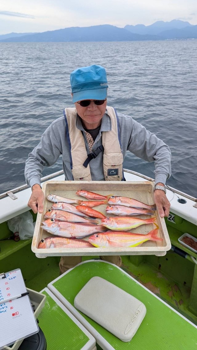 アマダイ(アカアマダイ)