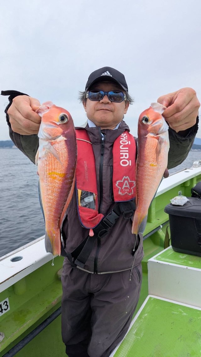 アマダイ(アカアマダイ)