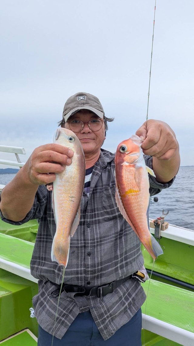 アマダイ(アカアマダイ)