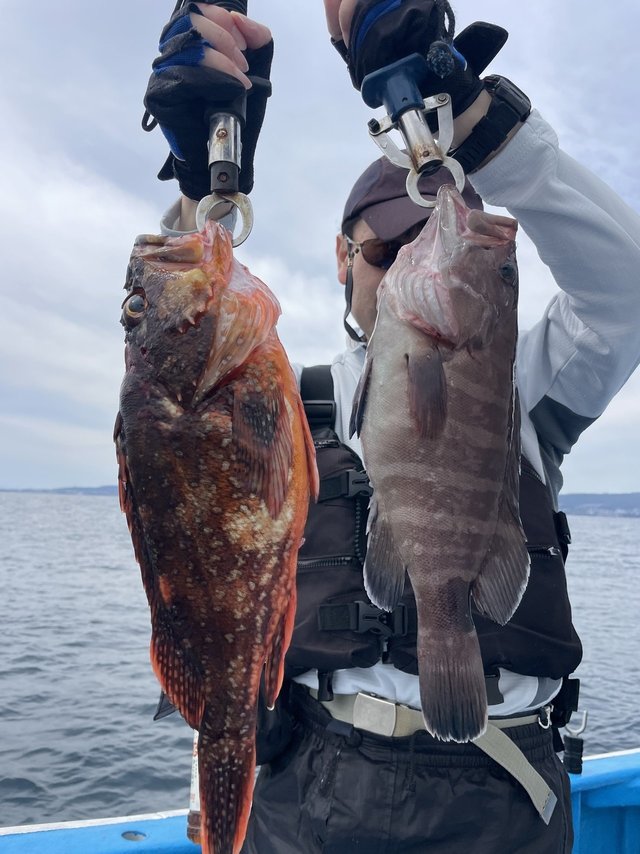 マハタ・カサゴ