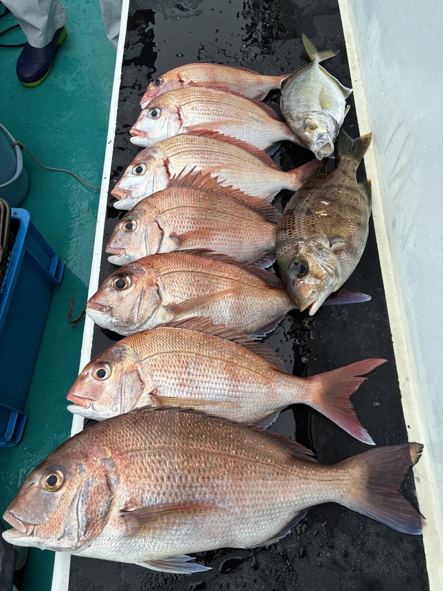 マダイ・チダイ・メイチダイ