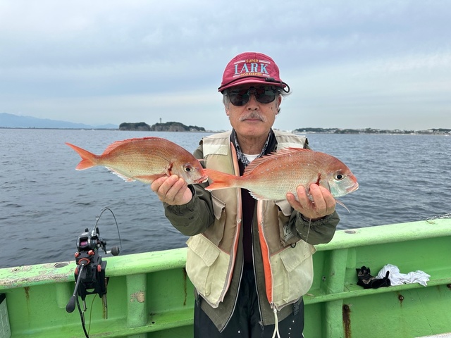 ハナダイ(チダイ)