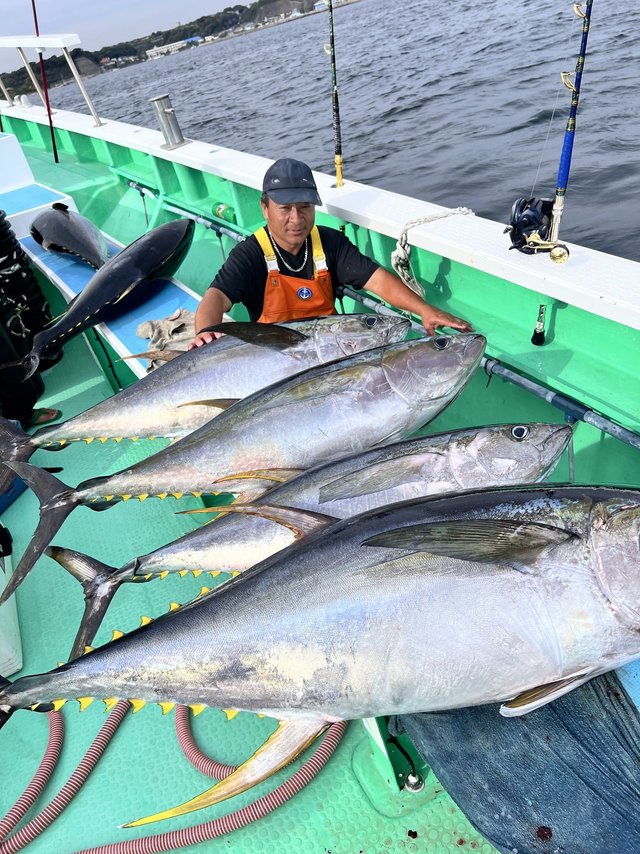 マグロ(キハダ)