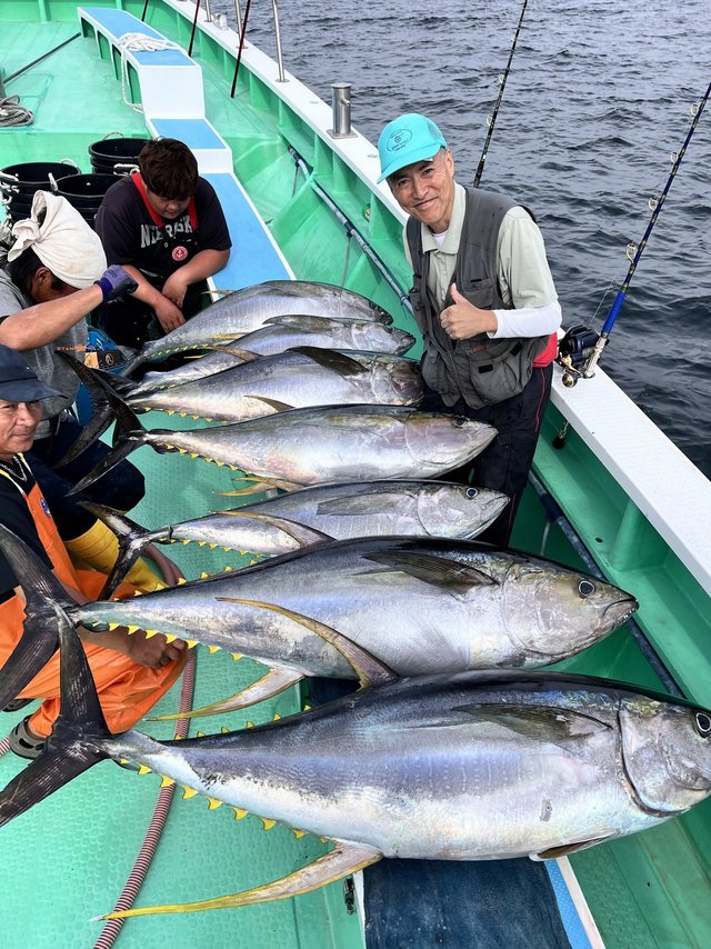 マグロ(キハダ)