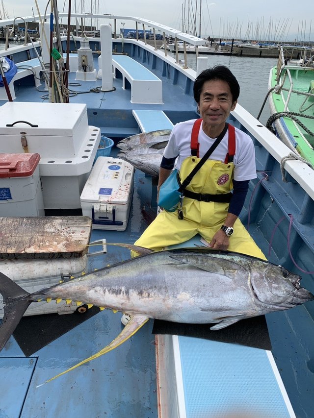 キハダマグロ(キハダ)