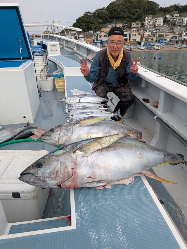 キハダマグロ(キハダ)・ホンガツオ(カツオ)