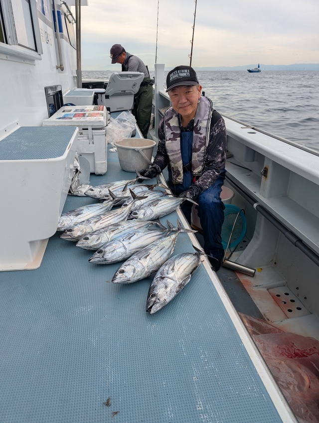 ホンガツオ(カツオ)