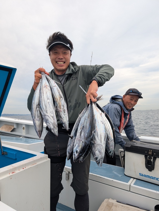 ホンガツオ(カツオ)