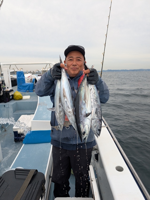 ホンガツオ(カツオ)