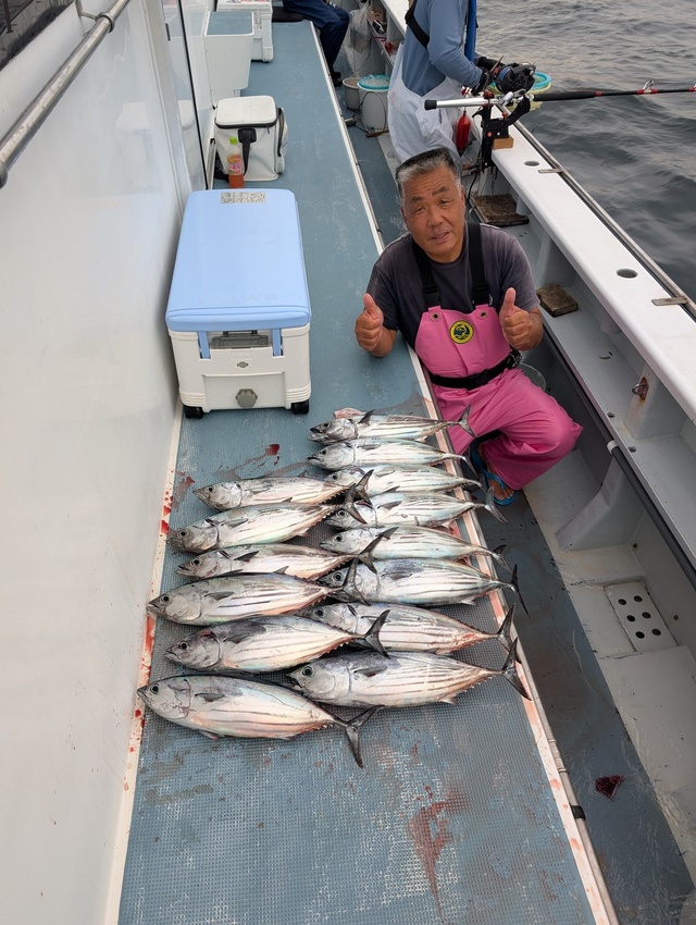 ホンガツオ(カツオ)