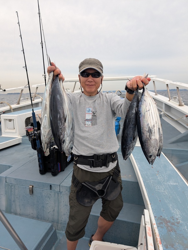 ホンガツオ(カツオ)