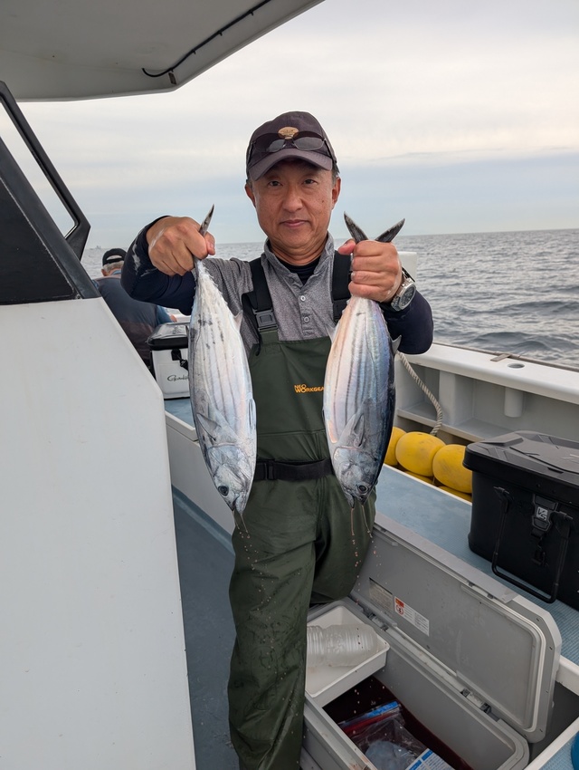 ホンガツオ(カツオ)