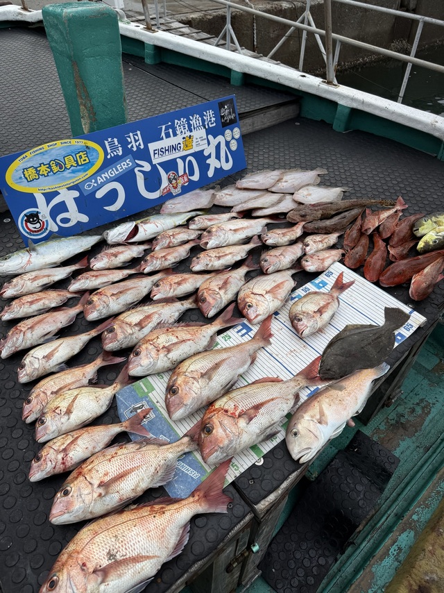 タイ(マダイ)・ツバス(ブリ)・シロアマダイ・ホウボウ・ヒラメ・ガンゾウヒラメ(ガンゾウビラメ)