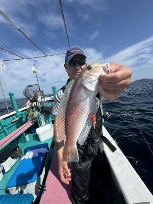 アマダイ(アカアマダイ)