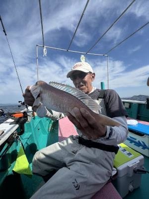 アマダイ(アカアマダイ)