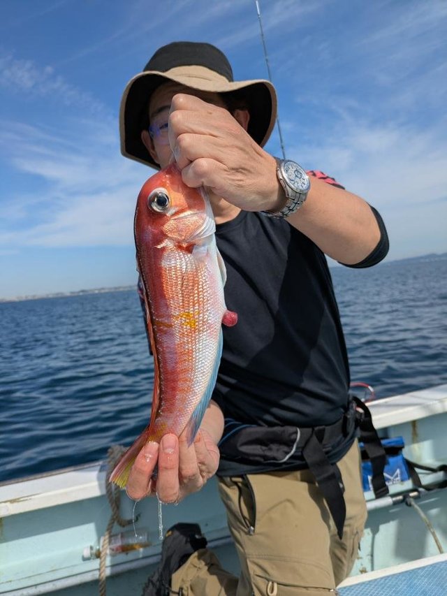 アマダイ(アカアマダイ)