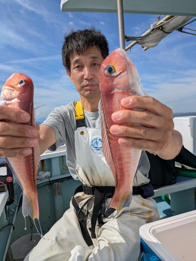 アマダイ(アカアマダイ)