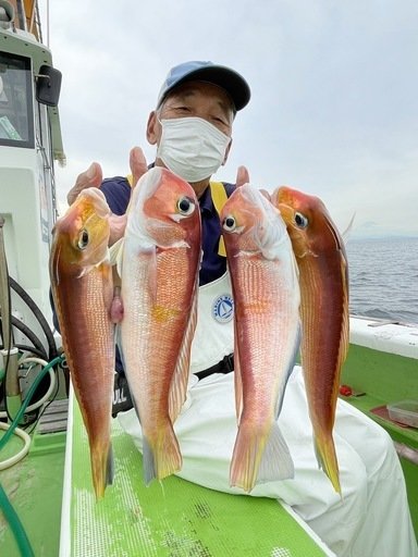 アマダイ(アカアマダイ)