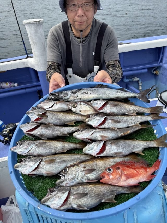 クロムツ・スミヤキ(クロシビカマス)・メダイ・シロムツ(オオメハタ)