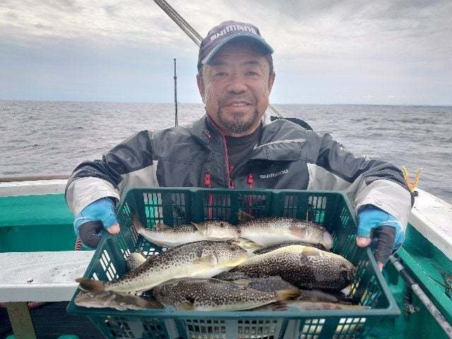 ショウサイフグ