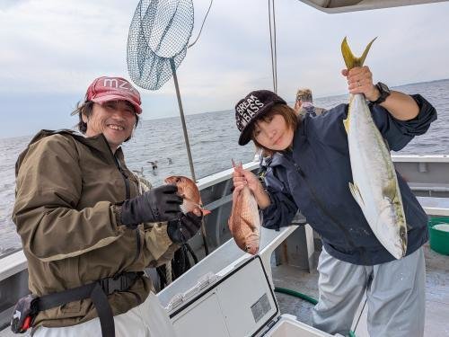 マダイ・ワラサ(ブリ)