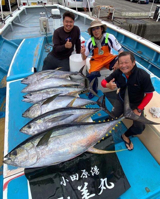 キハダ・キメジ(キハダ)