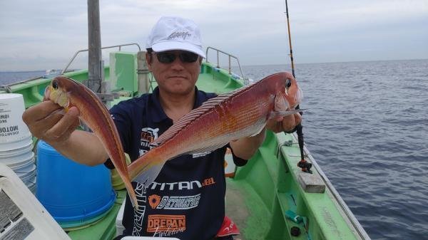 アマダイ(アカアマダイ)