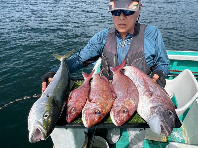 マダイ・ワラサ(ブリ)