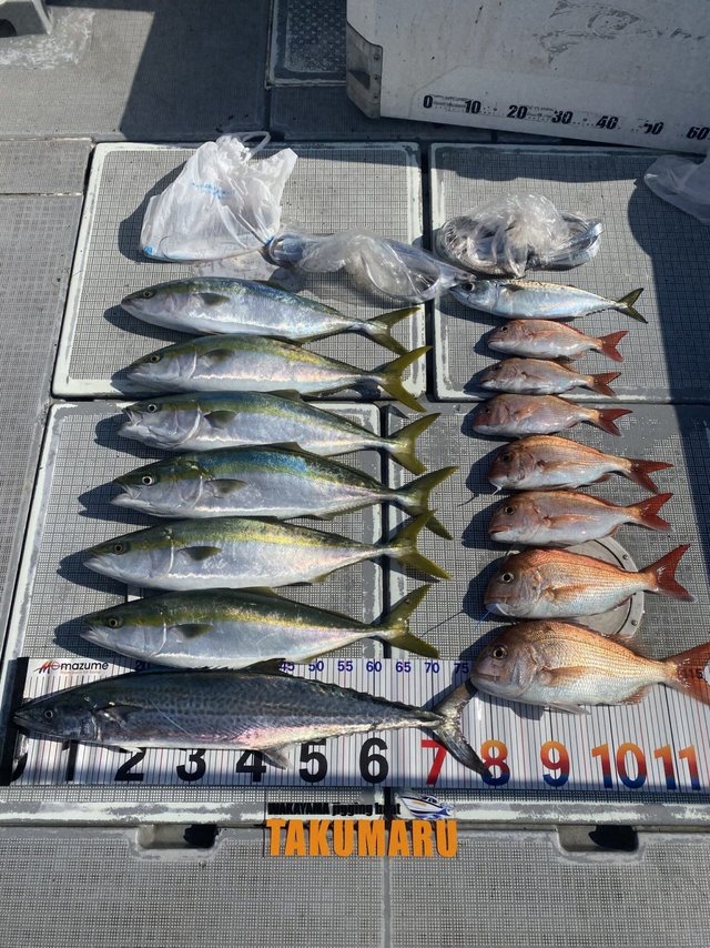 マダイ・ハマチ(ブリ)・マサバ・サワラ・タチウオ