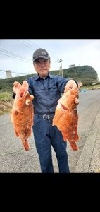 カンコ(ウッカリカサゴ)