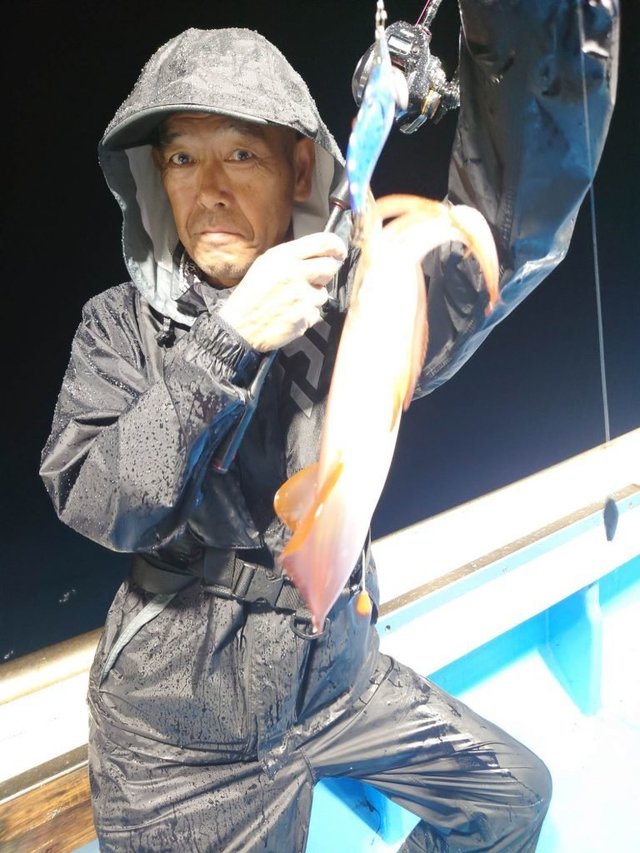 シロイカ(ケンサキイカ)